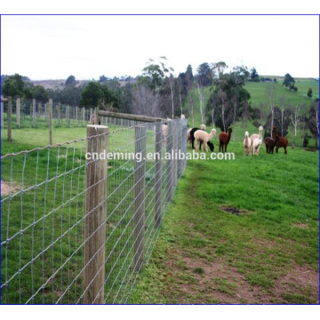 Cow field fence